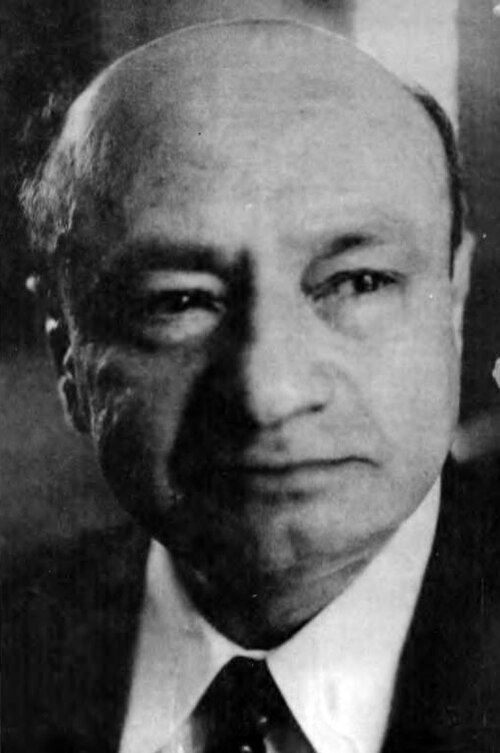 پل آمیر