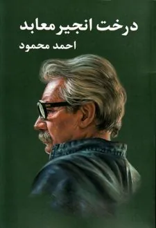 درخت انجیر معابد(دو جلدی)
