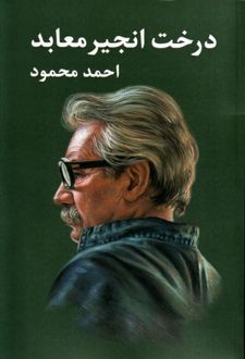درخت انجیر معابد(دو جلدی)
